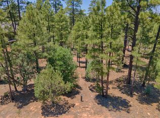 200 S Silk Tassel Rd LOT 73, Show Low, AZ 85901