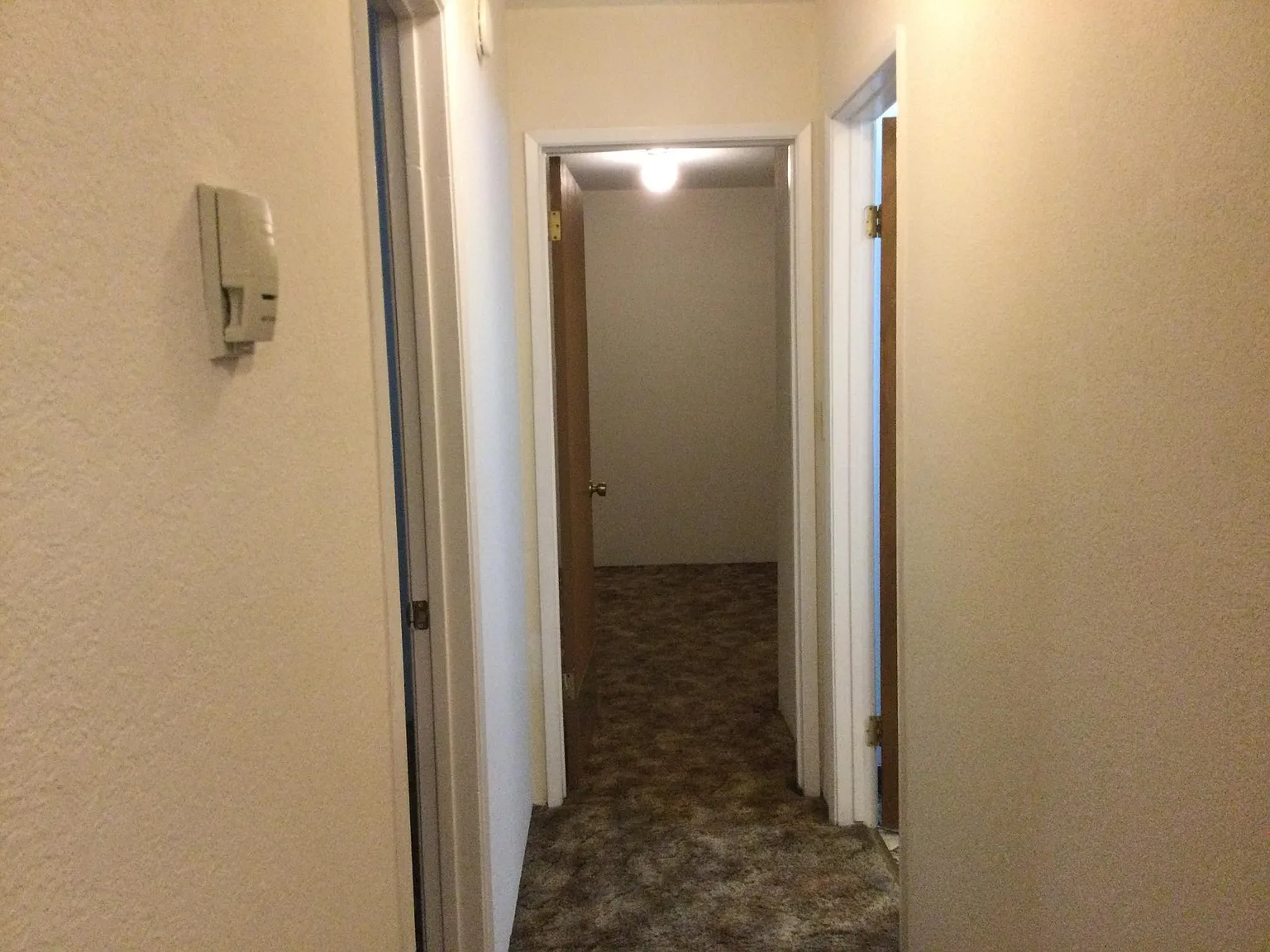 2 bed, 1100 sqft, $1,545 — Photo 4