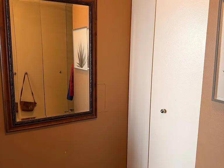 3660 N Lake Shore Dr #3309 — Photo 27