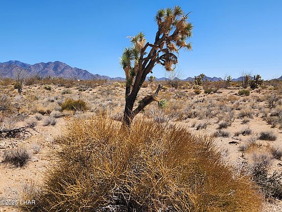 3rd image of LOT 357 E Adobe Dr