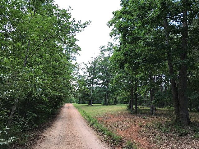 2nd image of 294 Jim Donald Rd