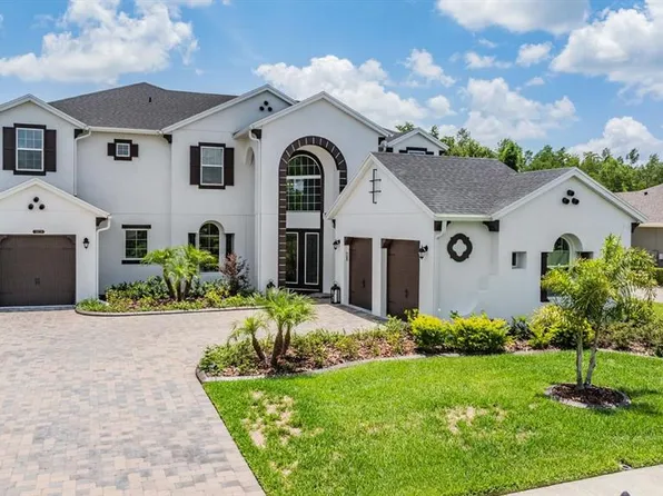 20228 Lace Cascade Rd, Land O Lakes, FL 34637