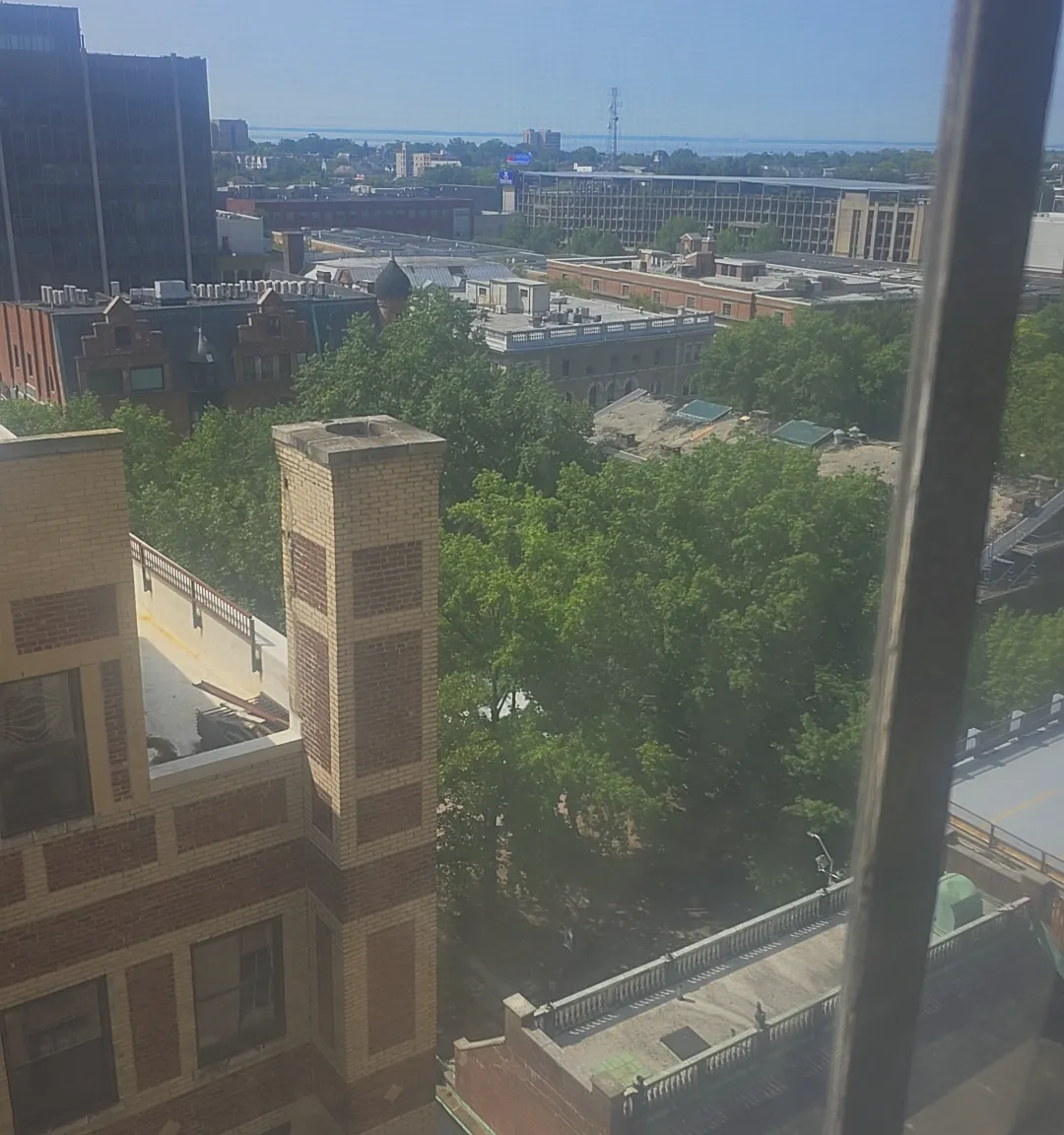 1 bed, 850 sqft, $1,600 — Photo 4