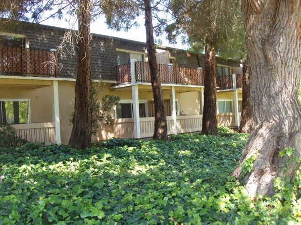 1459 N Camino Alto APT 104