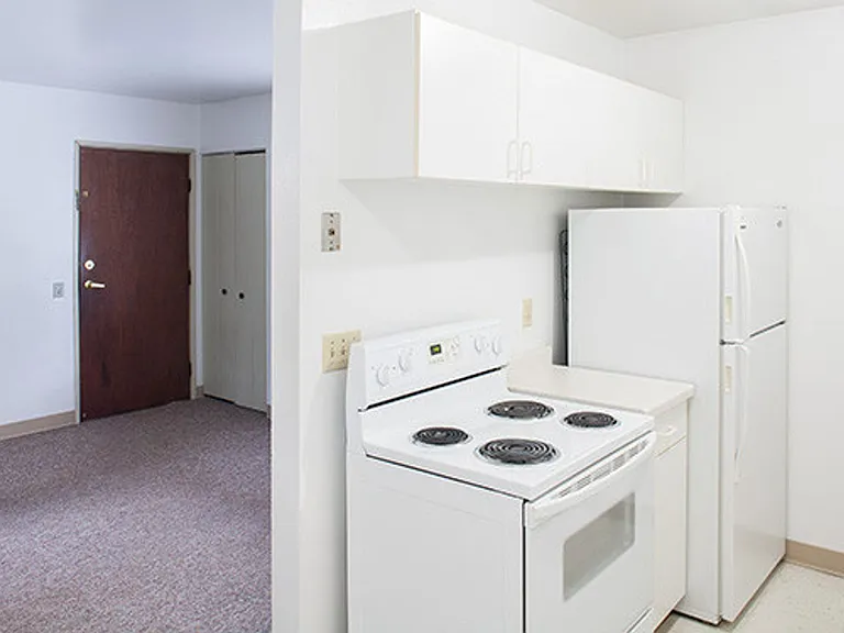 121 E Henry St #207-935 — Photo 12