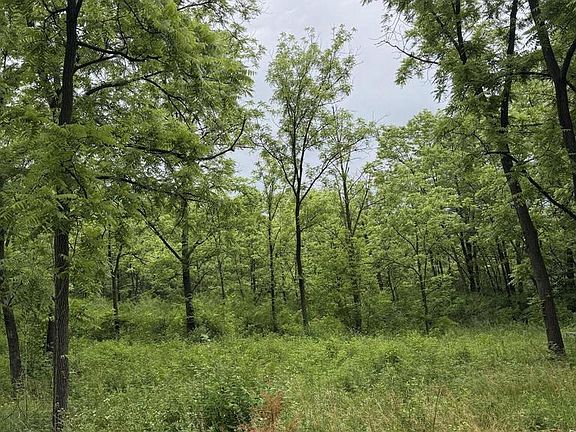 2nd image of Lot 1 KRUEGER ROAD