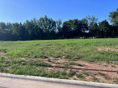 2169 N Silver Charm Avenue, Springfield, MO, 65802