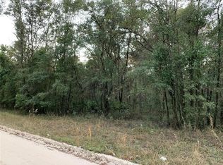 NE 160th Ave #1, Williston, FL 32696