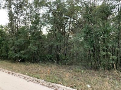 NE 160th Ave #1, Williston, FL, 32696