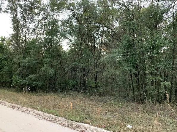 NE 160th Ave #1, Williston, FL 32696