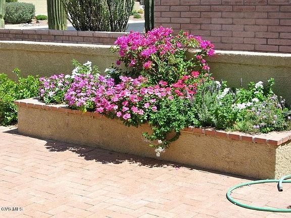 Front Court Yard