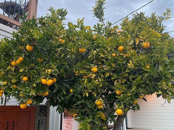 4th image of 621 National St