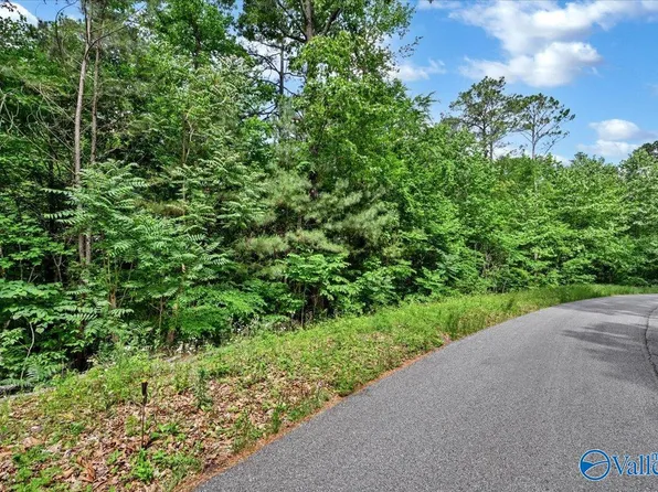 LOT 11 Mill Creek Rd, Falkville, AL 35622