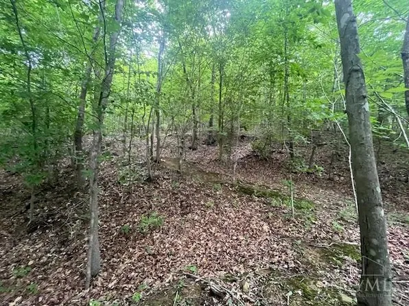 0 Dry Run Rd W, West Portsmouth, OH 45663