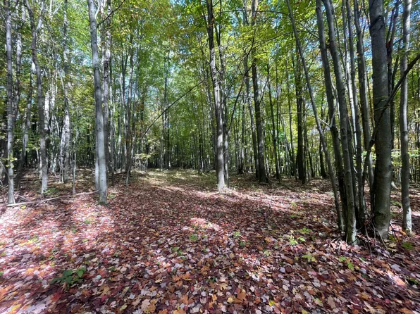 V/l 40a 12 Mile Rd, Leroy, MI 49655