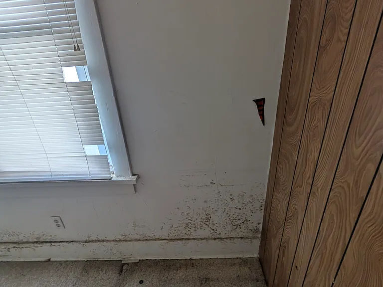 1108 E Arcadia Ave — Photo 19