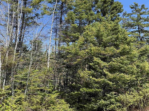 3rd image of Marble Mountain Rd Lot 22