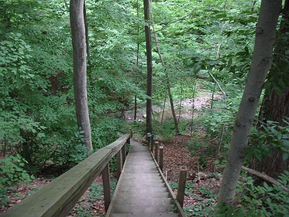 steps leading to the backyard, within Metro park system, stream at the bottom 