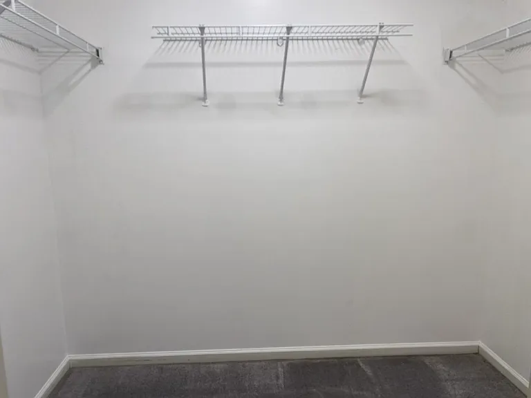 Primary closet