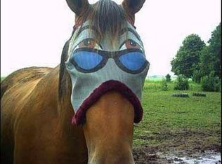 Cherry Tree Ave SW, Albuquerque, NM 87105