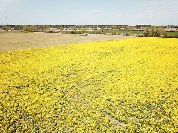 4th image of Forbes Rd Lot Wp01