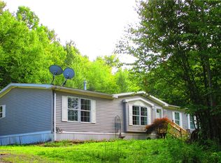3525 Coe Hill Rd, Oneonta, NY 13820