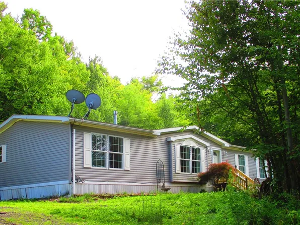 3525 Coe Hill Rd, Oneonta, NY 13820