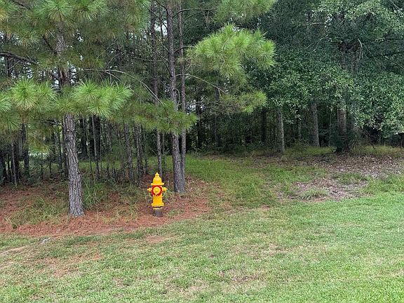3rd image of 5905 Afton Villa Way
