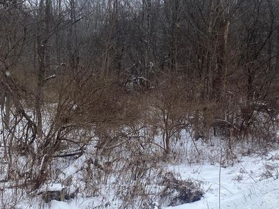 0 County Route 408, Westerlo, NY, 12193