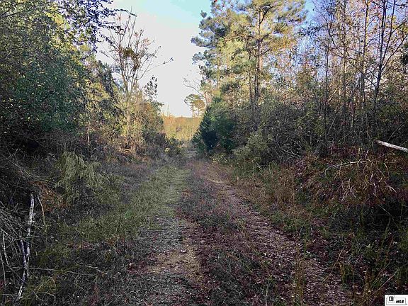 4th image of 1101 Highway 545