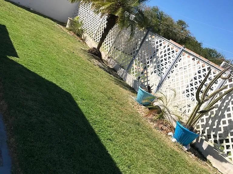 10 Brisas De Campo Alegre — Photo 20