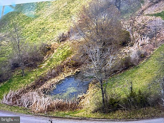 5th image of 131 Offutt School Rd