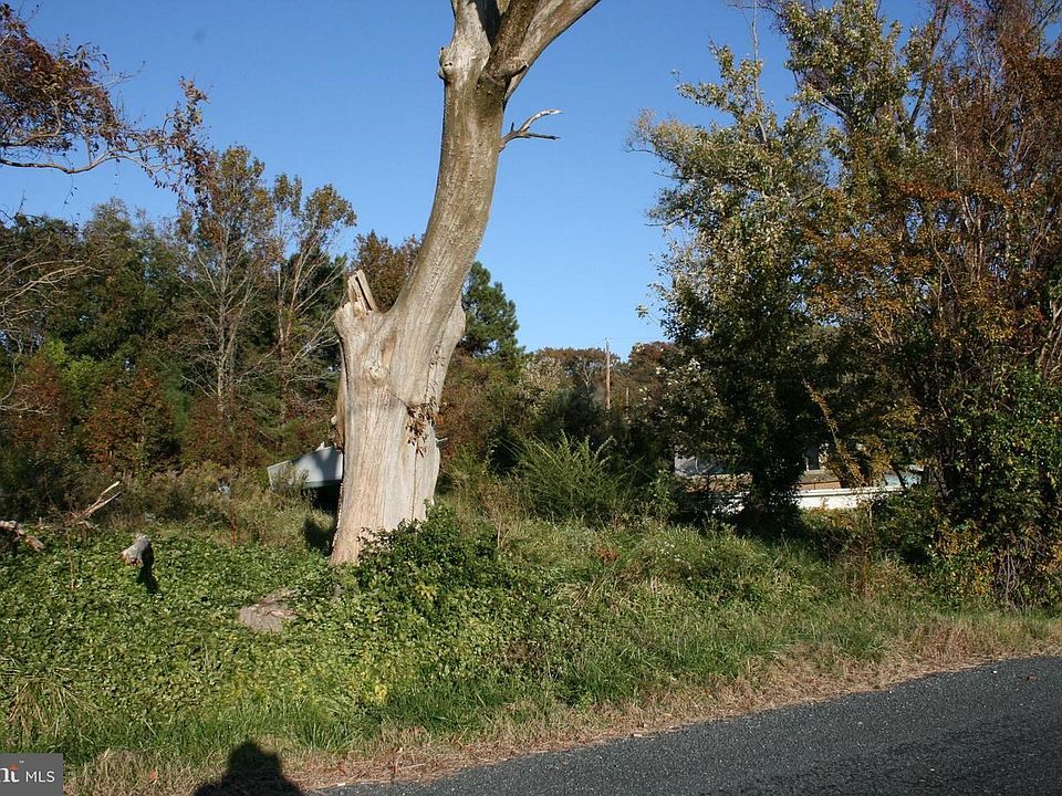 2nd image of 2571 Spring Ln