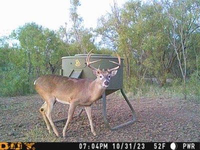 Fm 540, Hamlin, TX, 79520