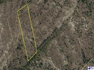 1991D Robert Reynolds Rd, Cassatt, SC 29032