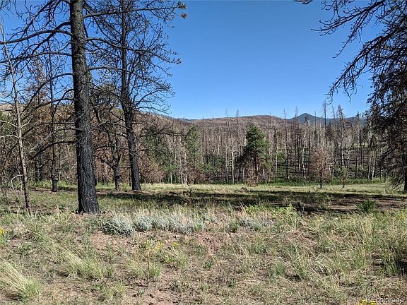 4th image of 1513 Von Heyl Ln