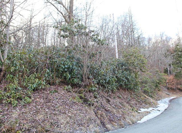 1st image of 145 Wild Daisy Ln