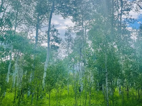 20295 King Bolt Trl, Oak Creek, CO 80467