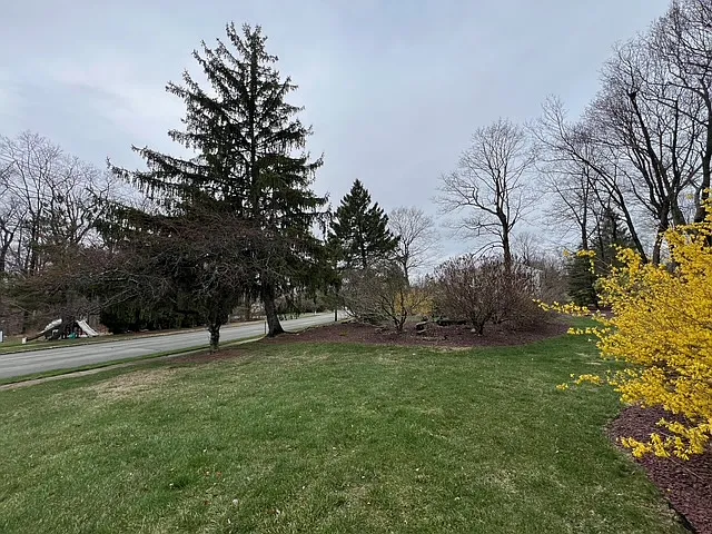 5 Glenn Dr — Photo 5