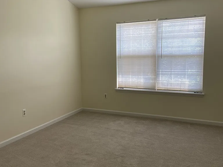 212 Mulberry Ridge Ct — Photo 22