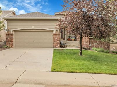 1033 Bramblewood Drive, Castle Pines, CO, 80108