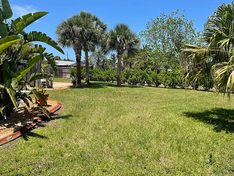 large green backyard