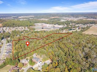 Jeff View Ct, Harvest, AL 35749