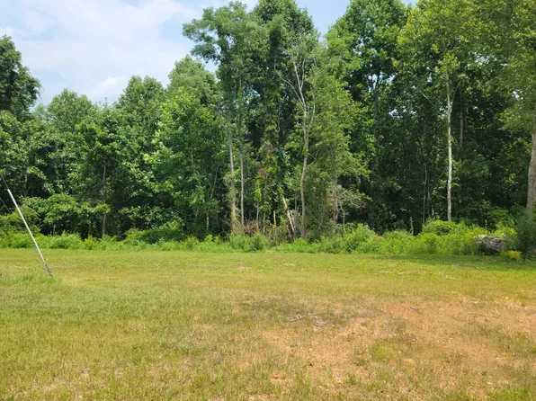 150 Happy Hollow Rd Lot 3, Hohenwald, TN 38462