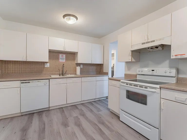 Traditional kitchen sink with garbage disposal, accompanied by a built-in dishwasher for effortless clean-up.