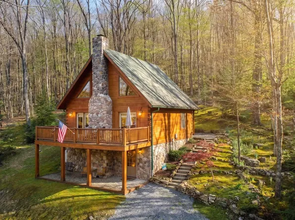 4502 Hileman Rd, Bruceton Mills, WV 26525