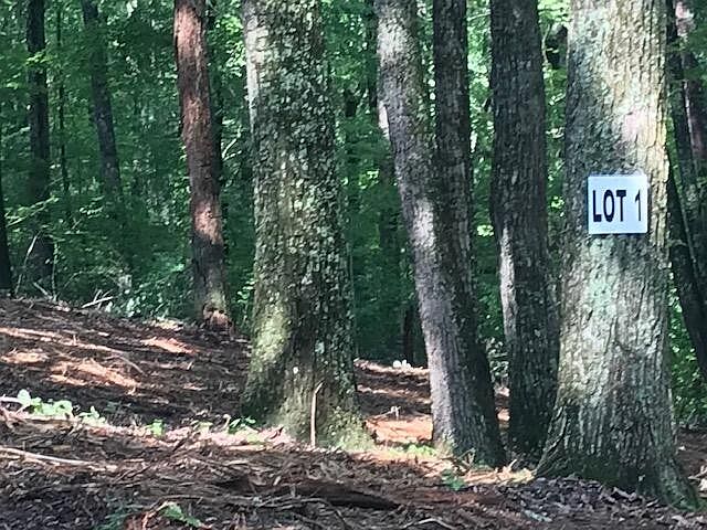1st image of 1 Piney Knob Dr