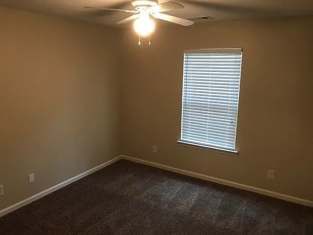 83 Yellow Jasmine Ct — Photo 16