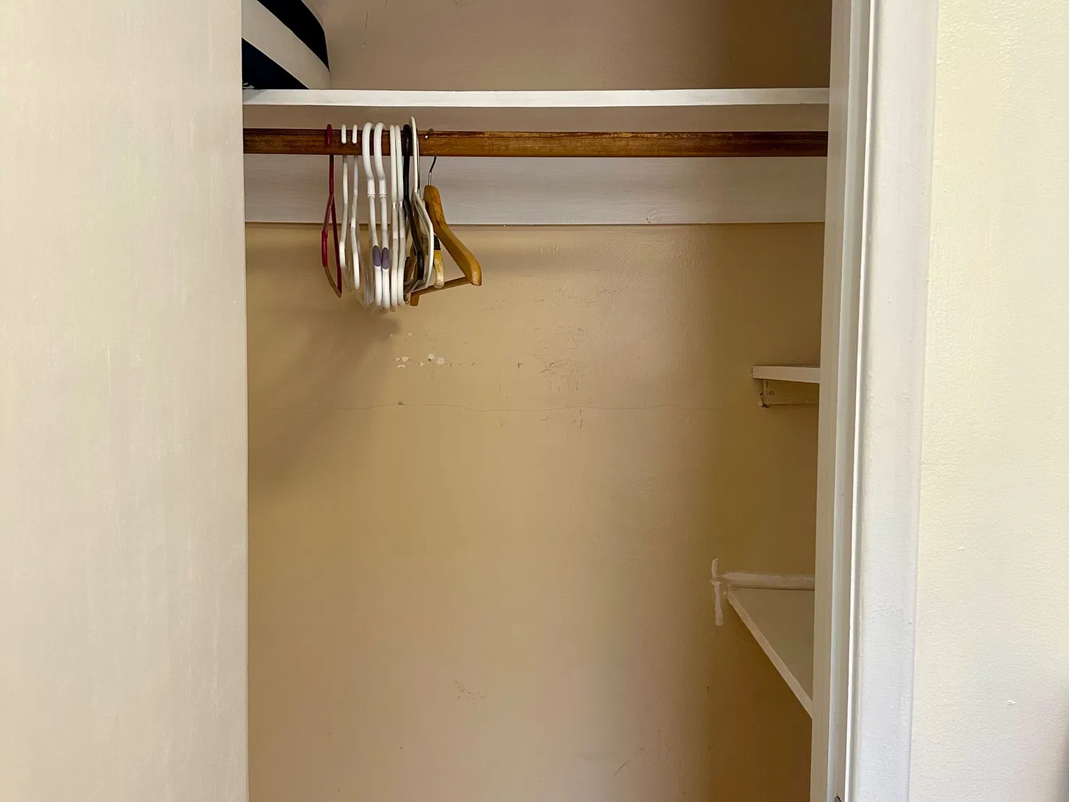 1 bed, $900 — Photo 4