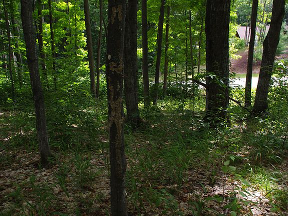5th image of Lot #78 The Reserve At Boyne Mountain #Lot #78